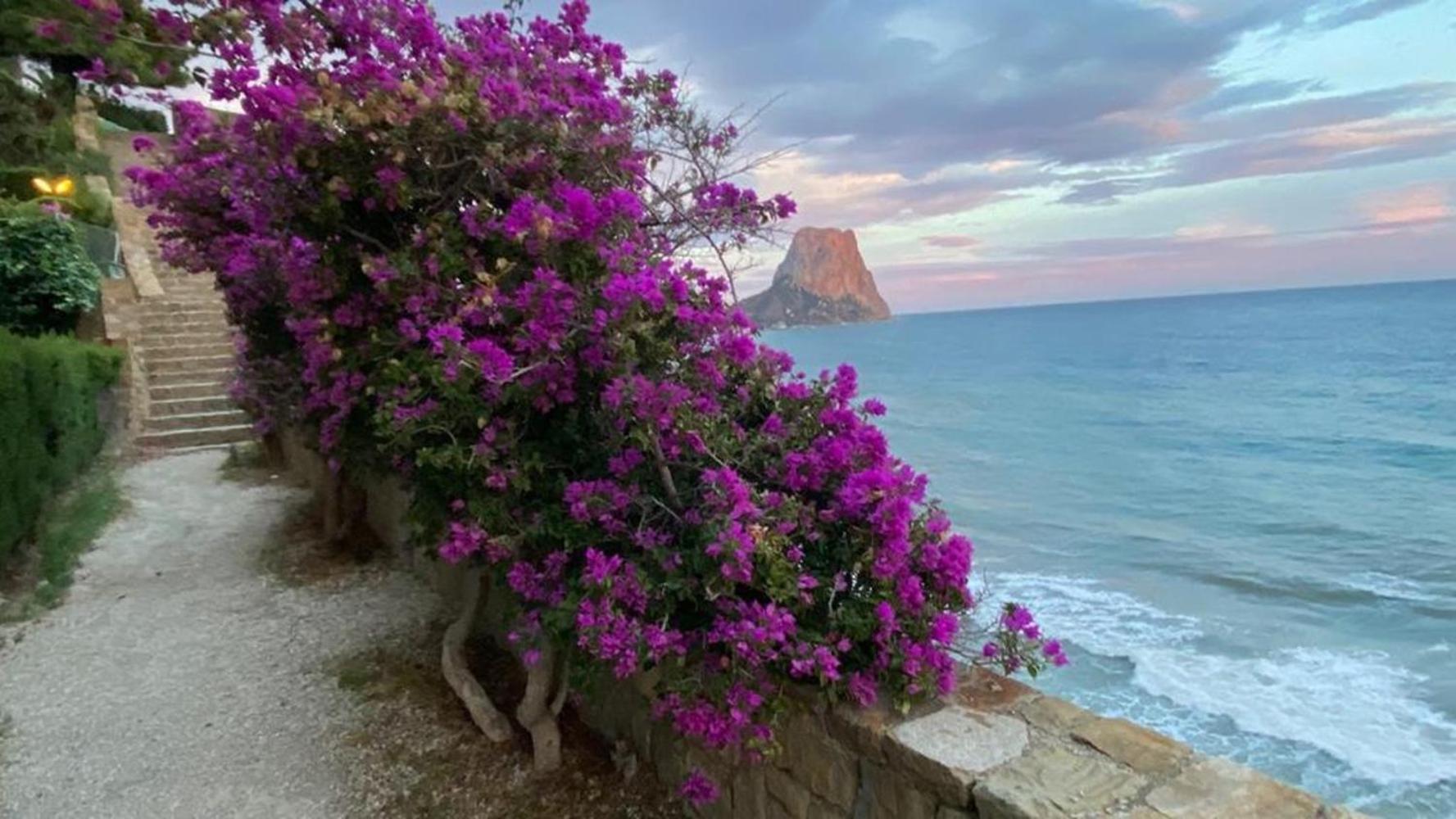 Timora Sea View New Apart' Hipocampos Calpe Kültér fotó